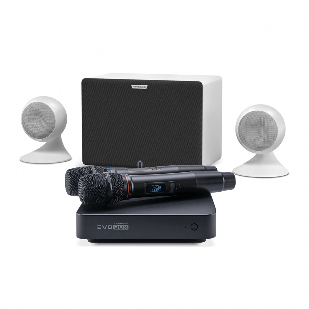 караоке-комплект EVOBOX Classic + EvoSound Sphere 2.1 в Урюпинске