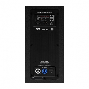 Активная акустическая система AST-310A в Урюпинске
