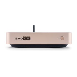EVOBOX Classic караоке-система для дома в Урюпинске
