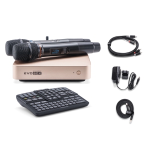 EVOBOX Classic караоке-система для дома в Урюпинске