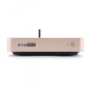 EVOBOX Plus караоке-система для дома в Урюпинске