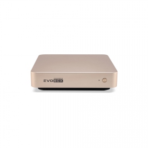 EVOBOX с микрофонами в Урюпинске